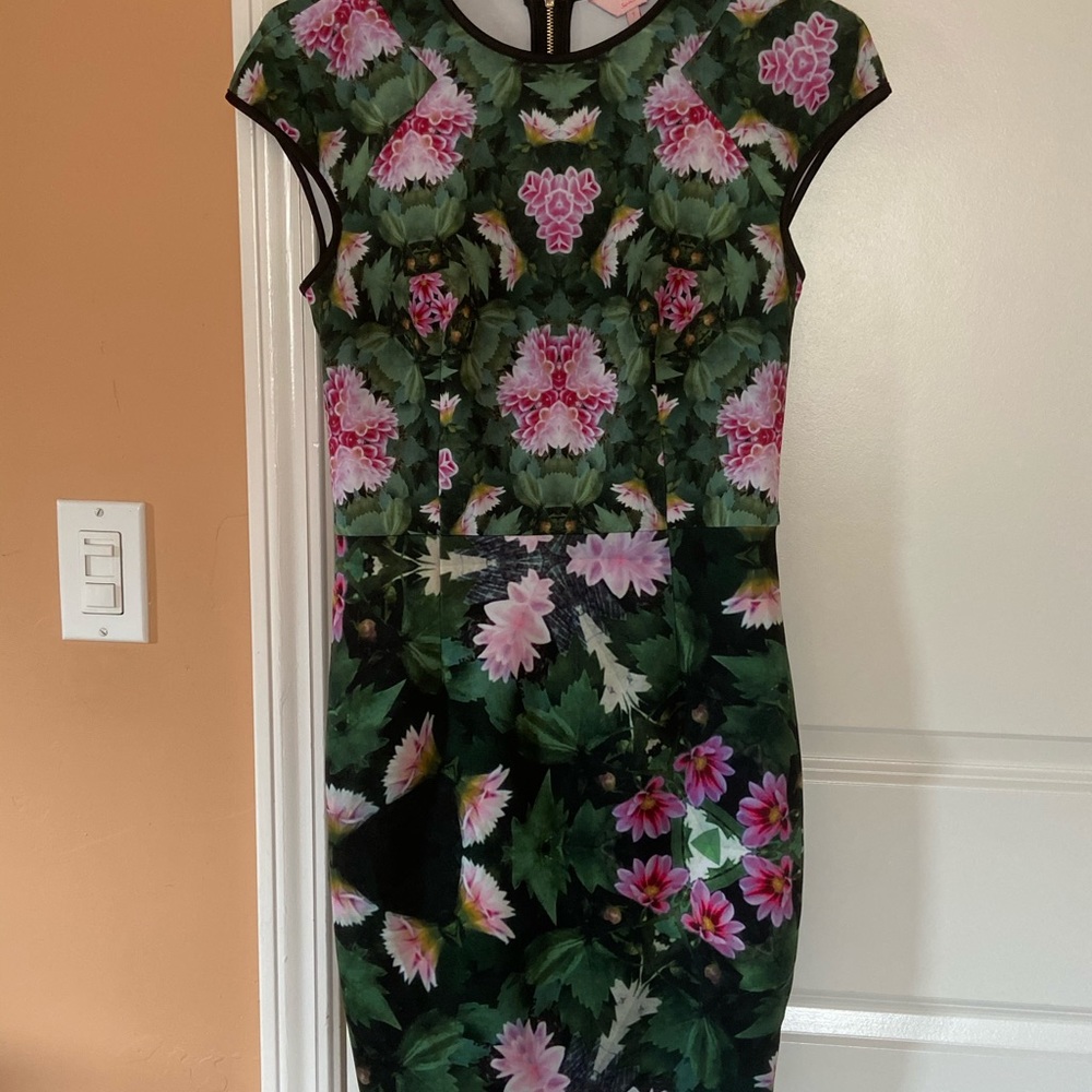 Ted Baker size 1 Friyo  dress